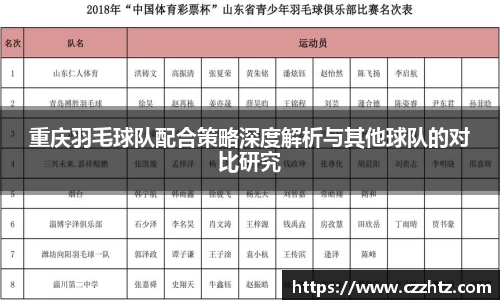 重庆羽毛球队配合策略深度解析与其他球队的对比研究